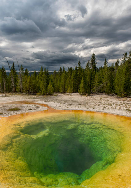 istock Colorful pond in Yellowstone National Park 1304936704