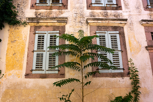 Rounded closed oldindow with wooden shutters in the shade of trees w