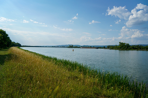 This is Danube river and its old waters are photographed in Bavaria near Regensburg
