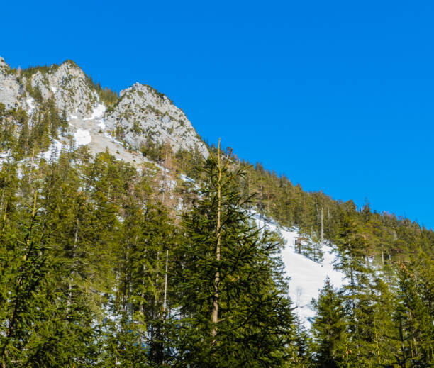 istock Mountain High Fricken in Germany 1304942471