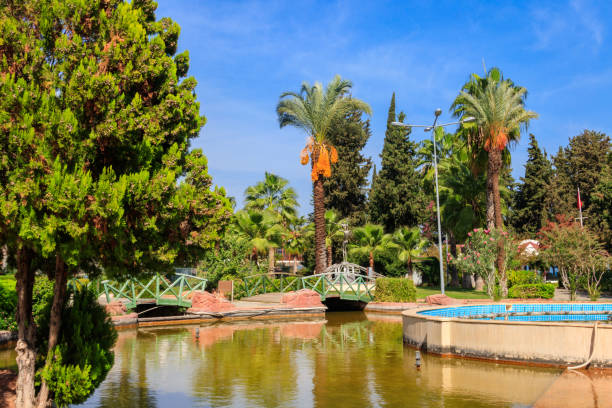 beautiful artificial pond in kugulu park in kemer town, turkey - 2779 imagens e fotografias de stock