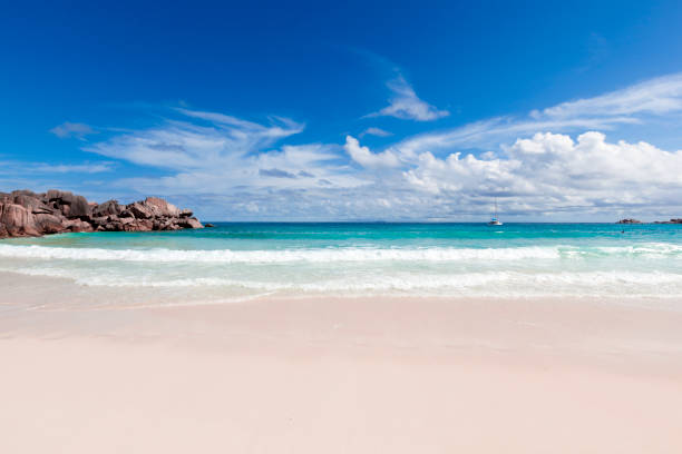 istock white sand dream beach, seychelles 1304943729
