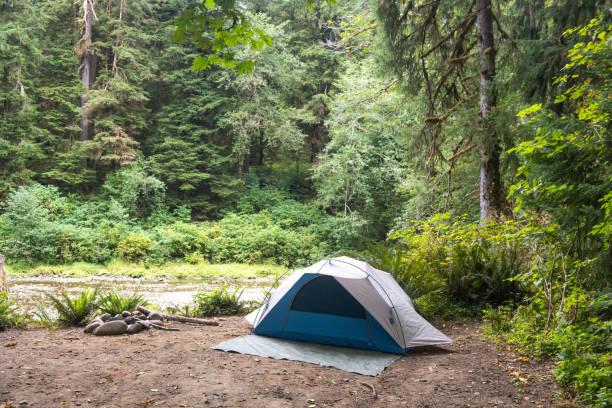istock Dispered Tent Camping in Olympic National Forest in Washington State 1304948294