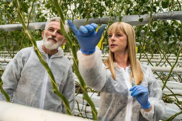 botanistes discutant dans la serre chaude - agriculture greenhouse research science photos et images de collection