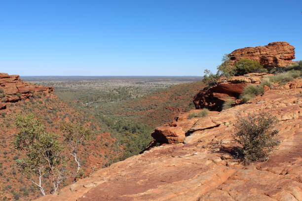 Viewpoint at Kings Canyon in Australia stock photo