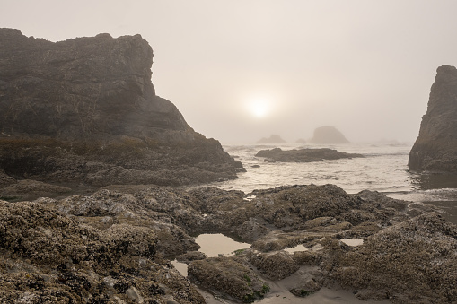 The sunset is visible through the fog in this landscape photograph of the rocky coast with tidal pools at Ruby Beach in Olympic National Park in Washington, USA.