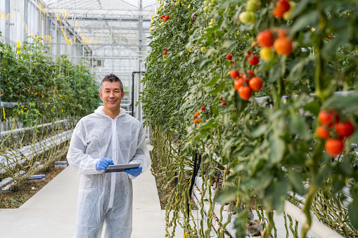 Portrait of smiling mature male botanist holding digital tablet while standing in greenhouse.