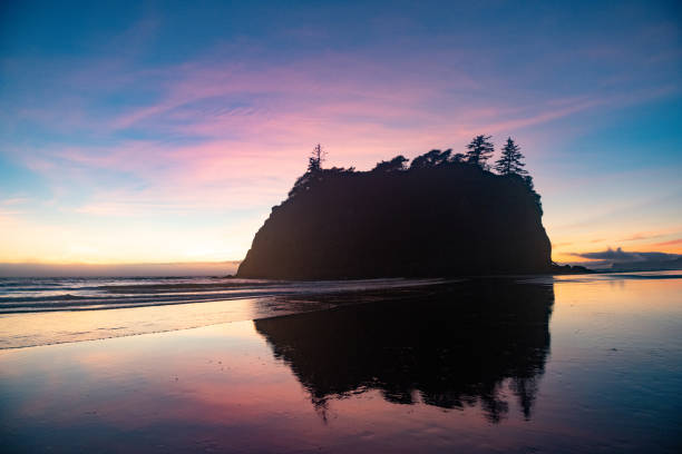Ruby Beach January 1.200+ Ruby Beach Foto Foto Stok, Potret, & Gambar Bebas Royalti - iStock