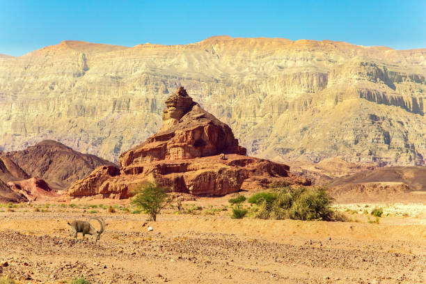 istock The famous red rock 