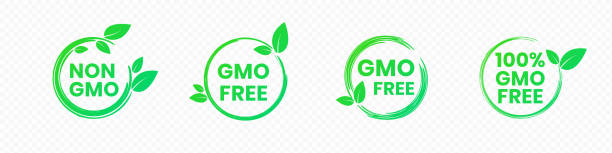 ilustrações de stock, clip art, desenhos animados e ícones de non gmo and gmo free badges in bright green color with leaves icons. round eco friendly emblems for promotion genetically unmodified products. vector illustration of healthy food labels - non gmo