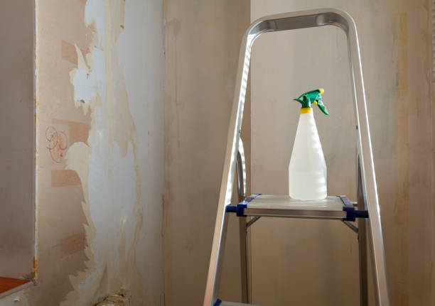 istock Spray bottle with water on a stepladder 1304952644