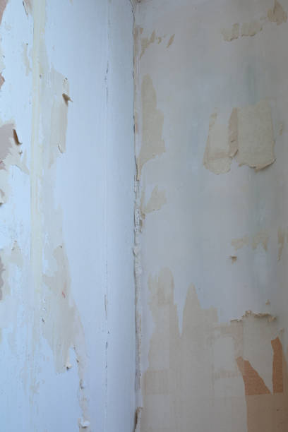 istock Scattered plaster. Renovation of apartments. 1304952837