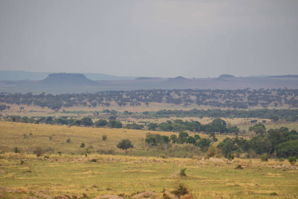 istock Serengeti Landscape 1304957916