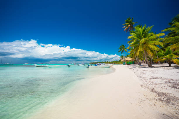 istock Tropical beach in Punta Cana, Dominican Republic 1304958745