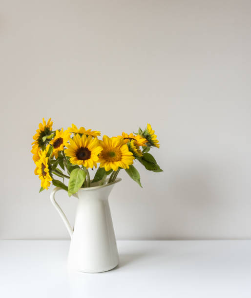 istock Sunflowers in white jug on shelf against wall 1304960116