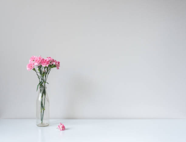istock Pink carnations in glass jar on white table against wall 1304960192
