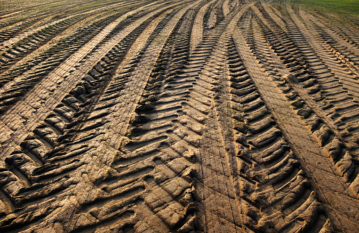 Traces of a tractor or other large machinery on the soil in the field, a large number of traces of heavy vehicles on the road