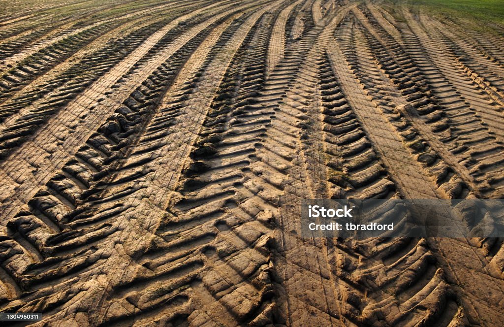 Vehicle Tracks Through A Muddy Field Vehicle Tracks In The Mud Tractor Stock Photo