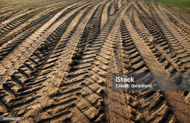 Vehicle Tracks Through A Muddy Field Stock Photo - Download Image Now - Tractor, Track - Imprint, Dirt Road