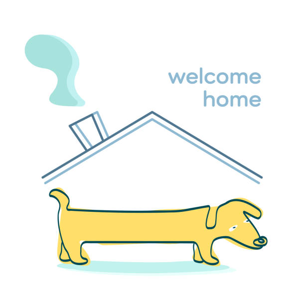 ilustraciones, imágenes clip art, dibujos animados e iconos de stock de perro en un nuevo hogar, cartel de bienvenida a casa - house cute welcome sign greeting
