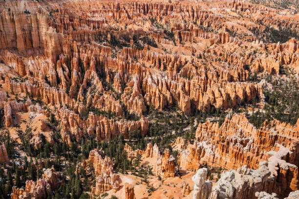 istock Landscape details from Bryce Point in Bryce Canyon National Park, Utah 1304961677