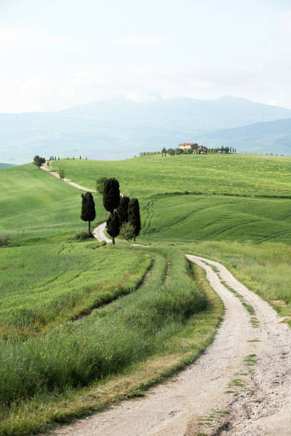 istock dirt road in Val d'Orcia, Tuscany, Italy 1304961886