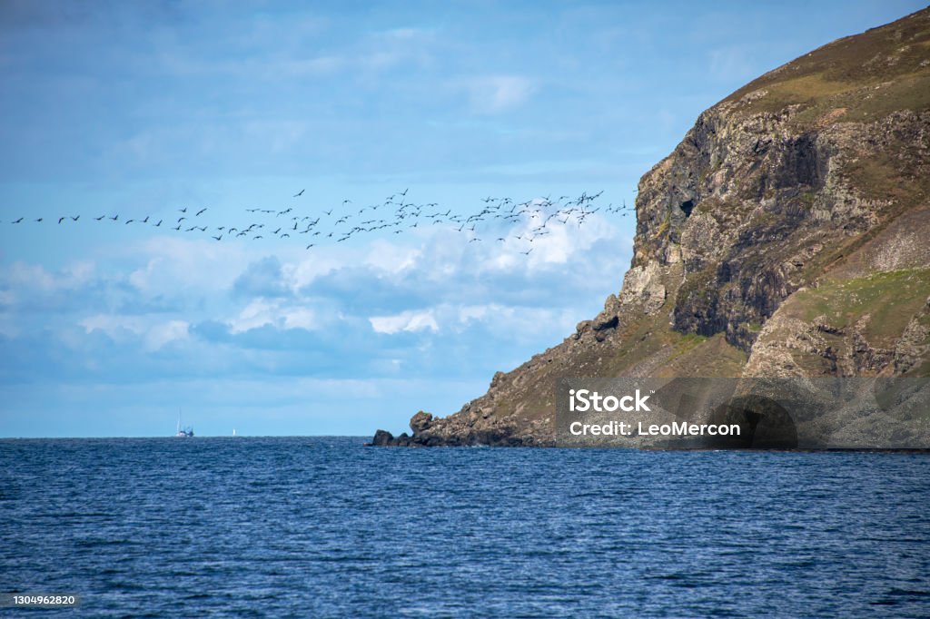 Rocky Shore photographed in Scotland, in Europe. Rocky Shore photographed in Scotland, in Europe. Picture made in 2019 Animal Wildlife Stock Photo