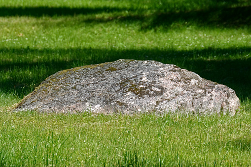 Large gray boulder, illuminated by bright sunlight, covered with moss, lies in the grass on the lawn.