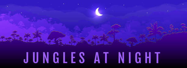 ilustrações de stock, clip art, desenhos animados e ícones de jungles at night flat color vector banner template. panoramic view on exotic woods. moon cresent on dark sky. travel to rainforest. tropical 2d cartoon landscape with woods on background - rainforest tropical rainforest forest moonlight