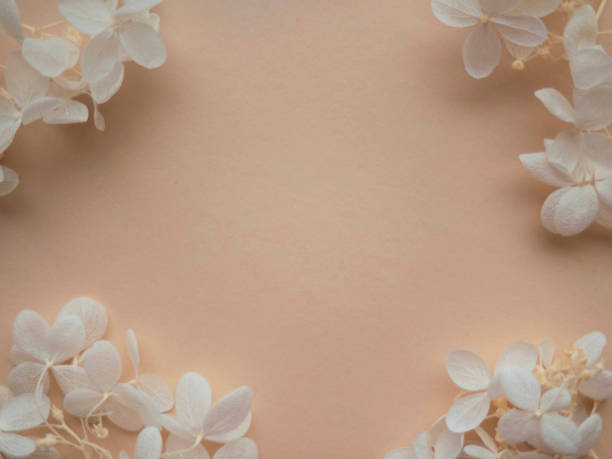 istock Flowers composition. Frame made of white flowers hydrangea on beige background. Valentines day, mothers day and womens day concept. Flat lay, top view. 1304969753