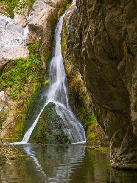 istock Death Valley National Park’s, Darwin Falls, California. 1304972072