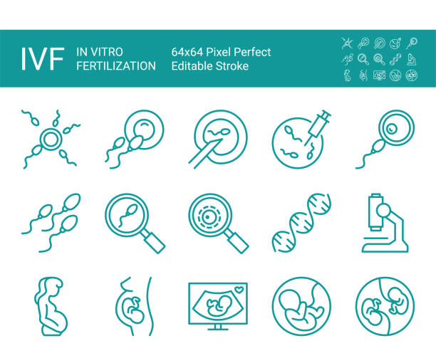 illustrazioni stock, clip art, cartoni animati e icone di tendenza di set di icone vettoriali di fecondazione in vitro, embrione, gravidanza, ricerca. tratto vettoriale modificabile. 64x64 pixel perfetto. - fertilità