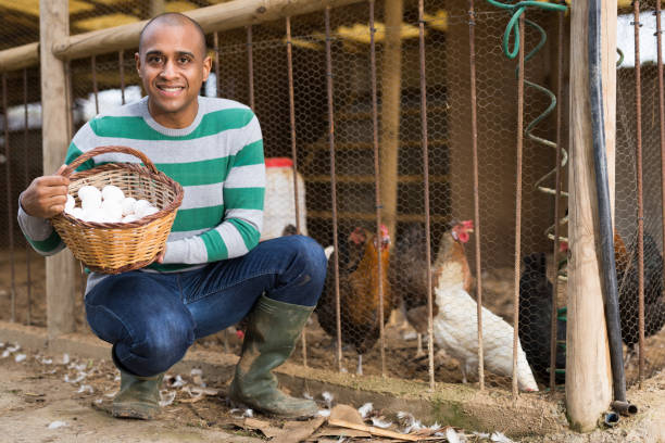 istock Smiling man holds a basket of chicken eggs in his hands. 1304975553