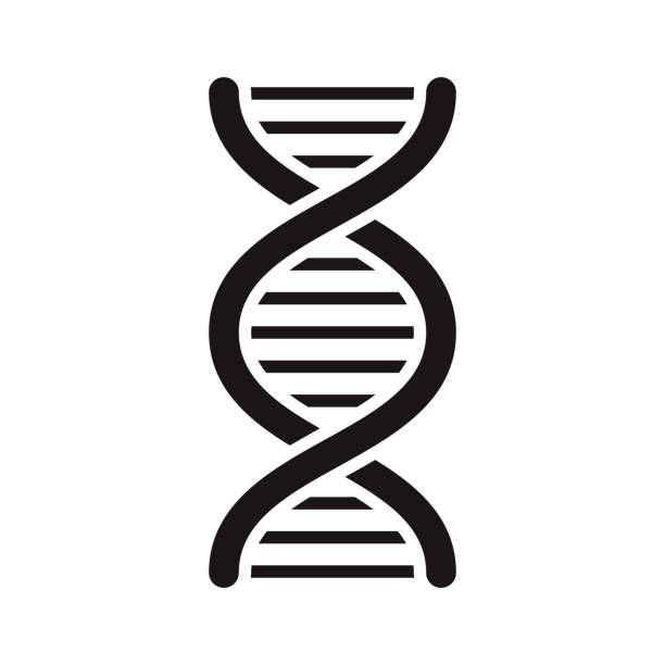 DNA Science Glyph Icon A black glyph icon on a transparent background. You can place onto any coloured background (no white box behind icon). File is built in CMYK for optimal printing with a 100% black fill. dna helix stock illustrations