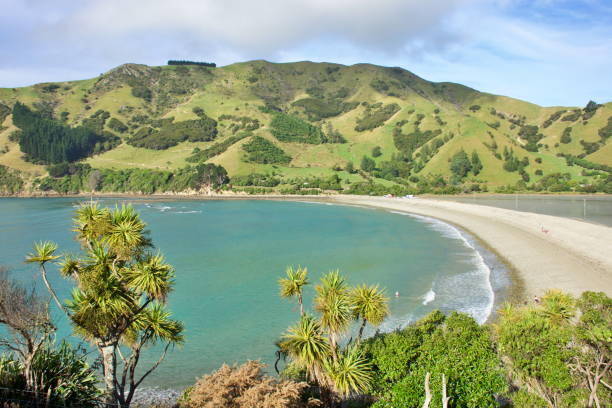 istock Seascape, Cable Bay, Nelson, New Zealand 1304980052