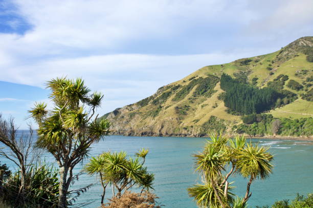 istock Seascape, Cable Bay, Nelson, New Zealand 1304980065