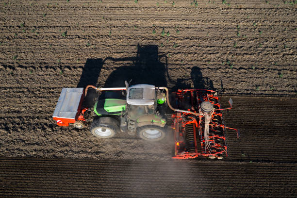 istock Tractor sowing the field in spring 1304987002