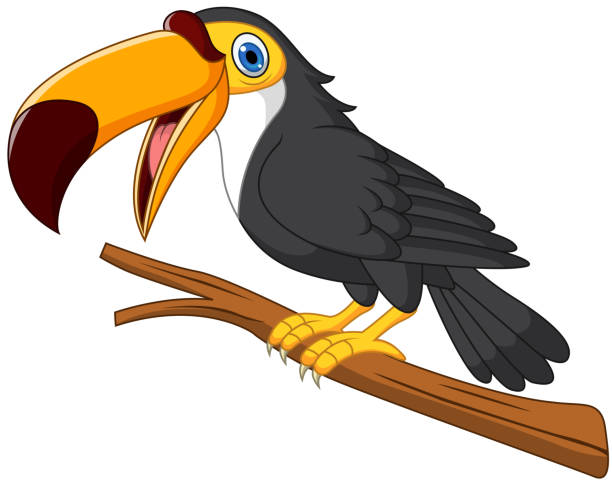 Cartoon toucan bird on tree branch Vector illustration of Cartoon toucan bird on tree branch black parrot stock illustrations