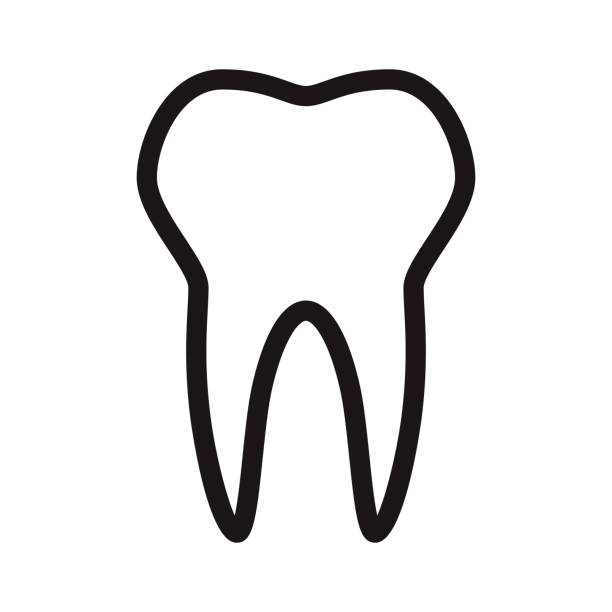 Dental Insurance Glyph Icon A black glyph icon on a transparent background. You can place onto any coloured background (no white box behind icon). File is built in CMYK for optimal printing with a 100% black fill. teeth clipart stock illustrations