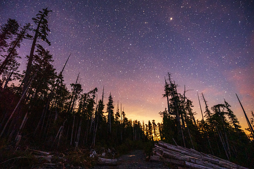 Starry night in a clear cut overlooking the Strait of Juan de Fuca on Vancouver Island.