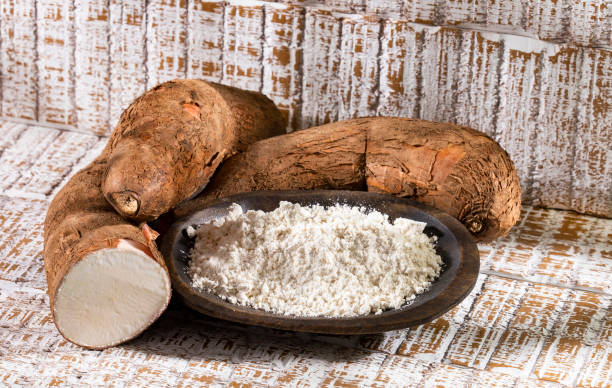 istock Manihot esculenta - Raw cassava starch 1305006738
