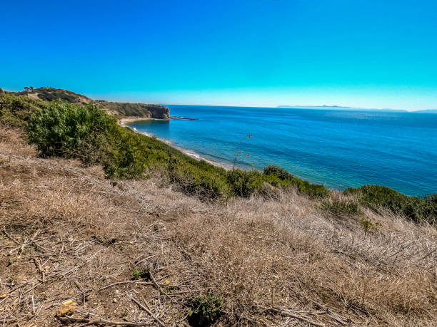 istock Beautiful background from the California beach 1305009286
