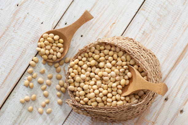istock soybean seeds in baskets and in wooden spoons 1305017444