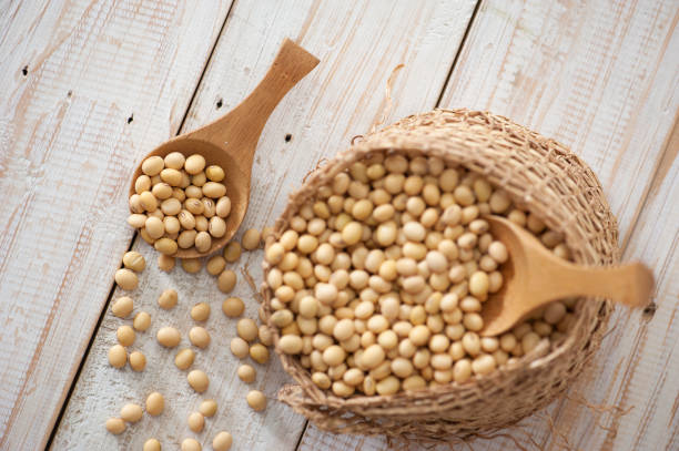 istock soybean seeds in baskets and in wooden spoons 1305018403