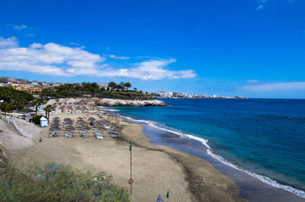 istock Beach on Tenerife island, daytime landscape 1305020391