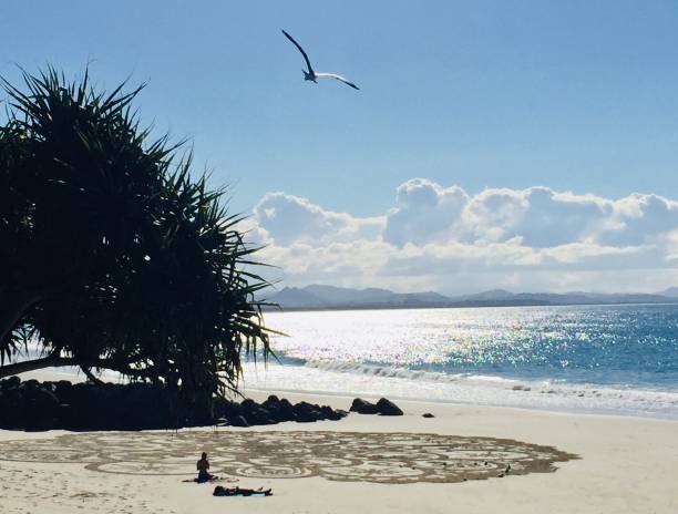 istock Seagull flys over Sand Mandala at Byron Bay Beach Australia 1305022338