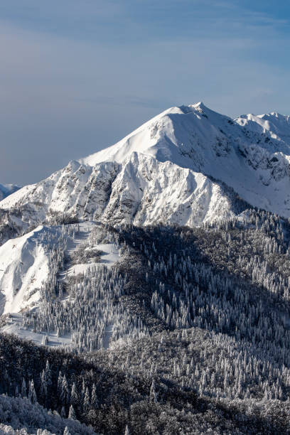 istock Winter time in Bohinj mountains 1305023097