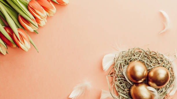 istock Easter egg. Happy Easter decoration: Golden eggs in basket with spring tulips, white feathers on pastel pink background. Traditional decoration in sun light. Top view. 1305023110