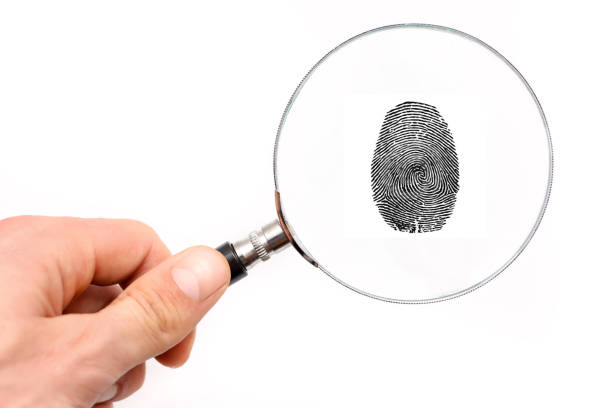 istock Magnifying glass in hand and fingerprint isolated on white background 1305023725