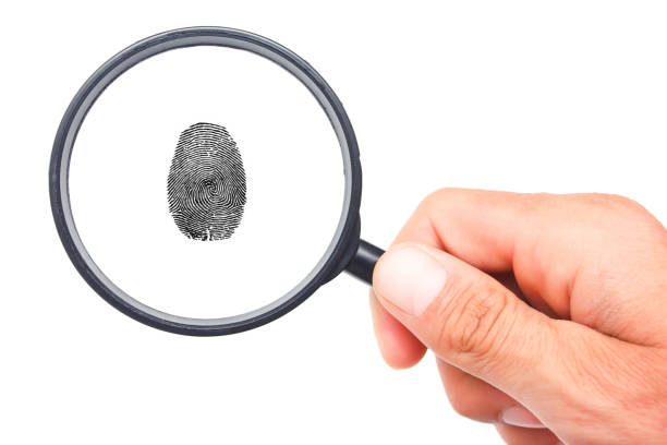 istock Magnifying glass in hand and fingerprint isolated on white background 1305023761